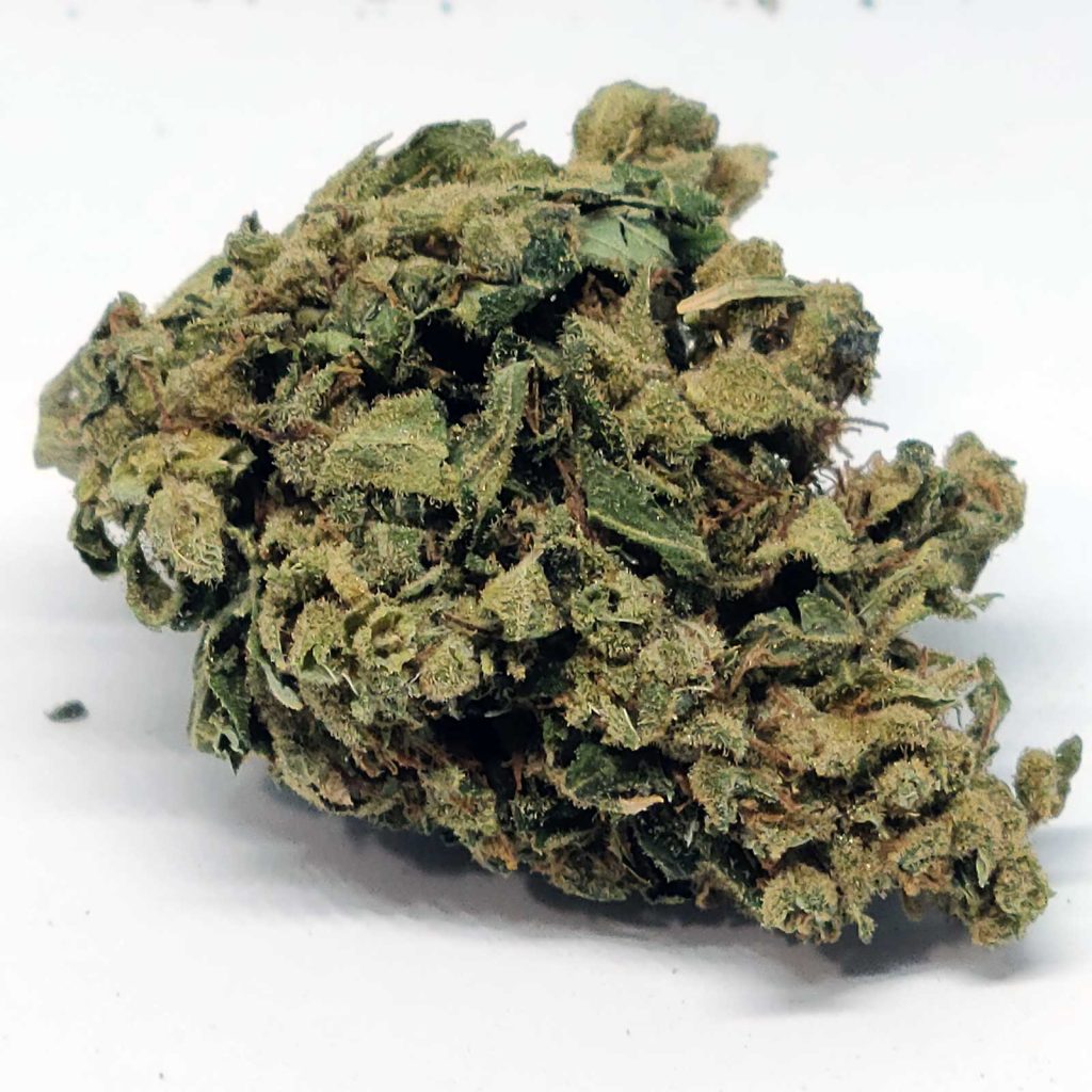 marley natural marley gold island sweet sknunk cannabis review 4