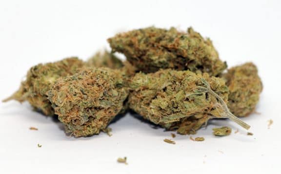 fluerish ness sweet island skunk cannabis review photos