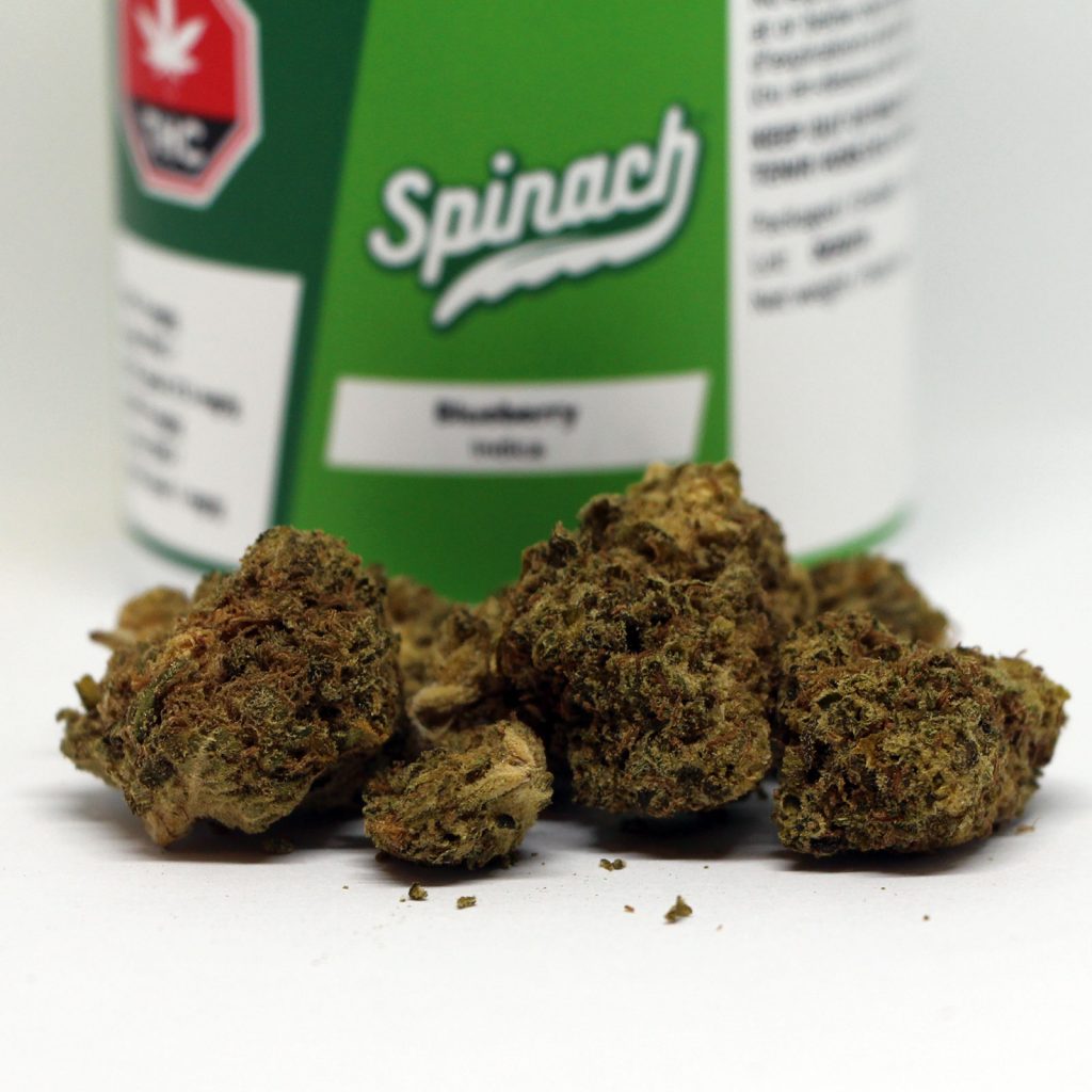 spinach blueberry cannabis review photos 2