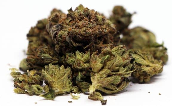 tweed balmoral cannabis review photos