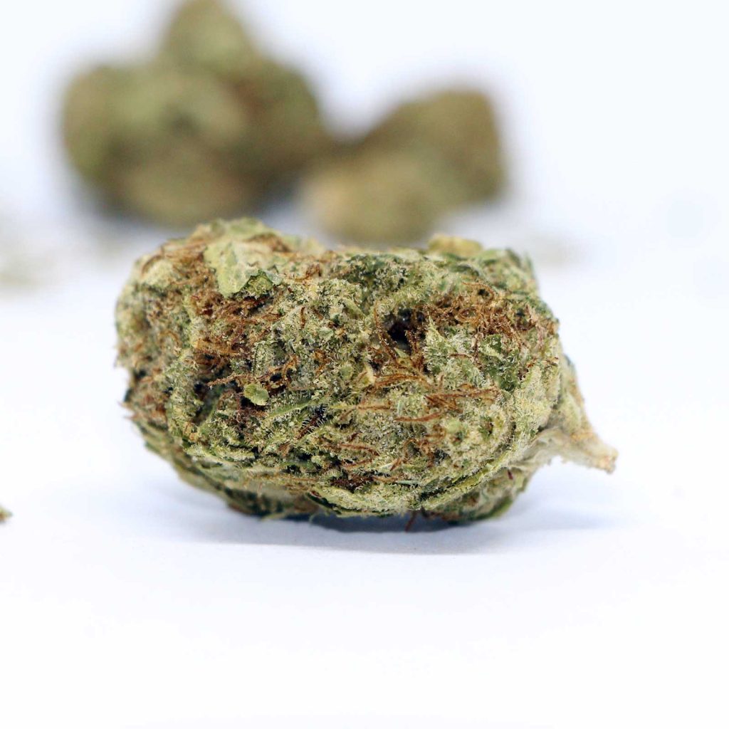 7 acres sensi star cannabis review 4