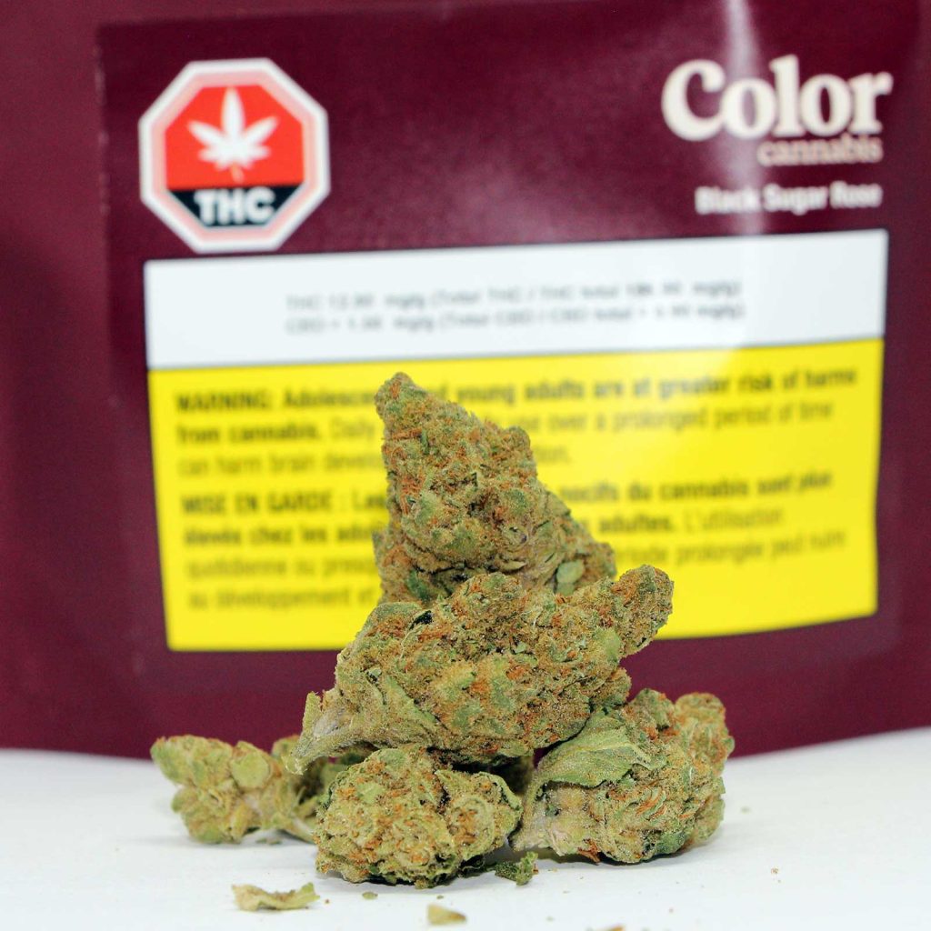 color cannabis black sugar rose review photos 2