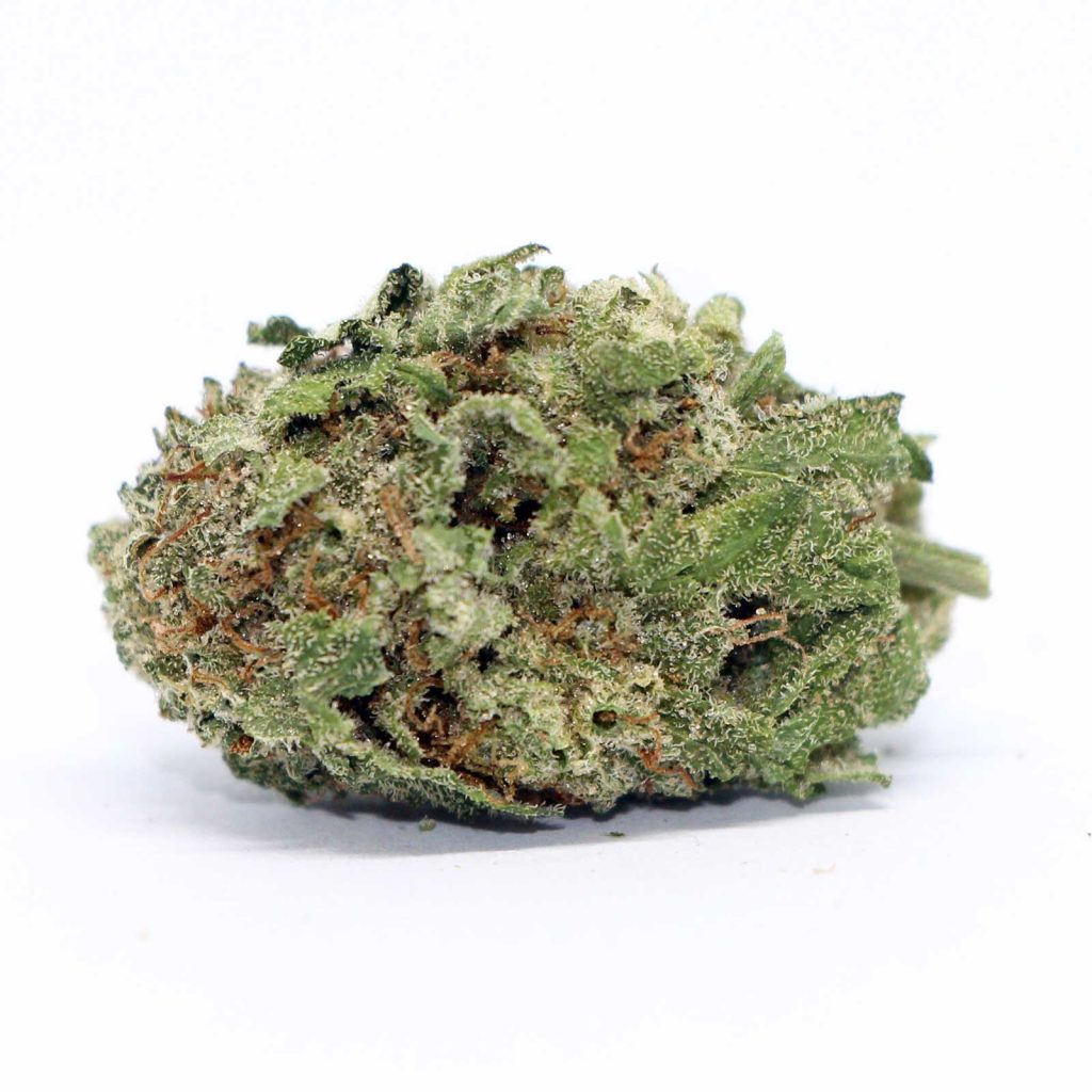 pure sunfarms blueberry kush cannabis review photos 4