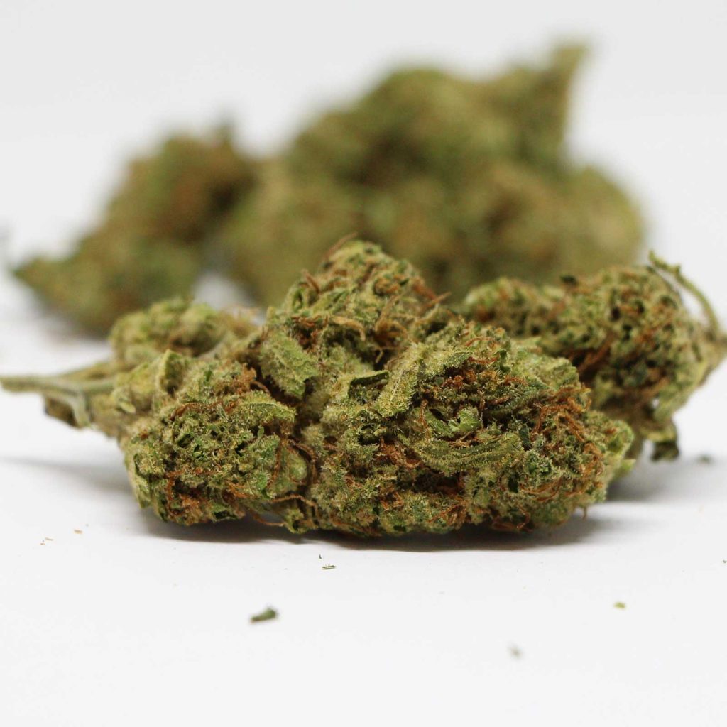 redecan god bud review cannabis photos 3