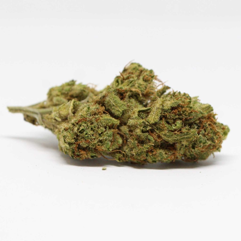 redecan god bud review cannabis photos 4