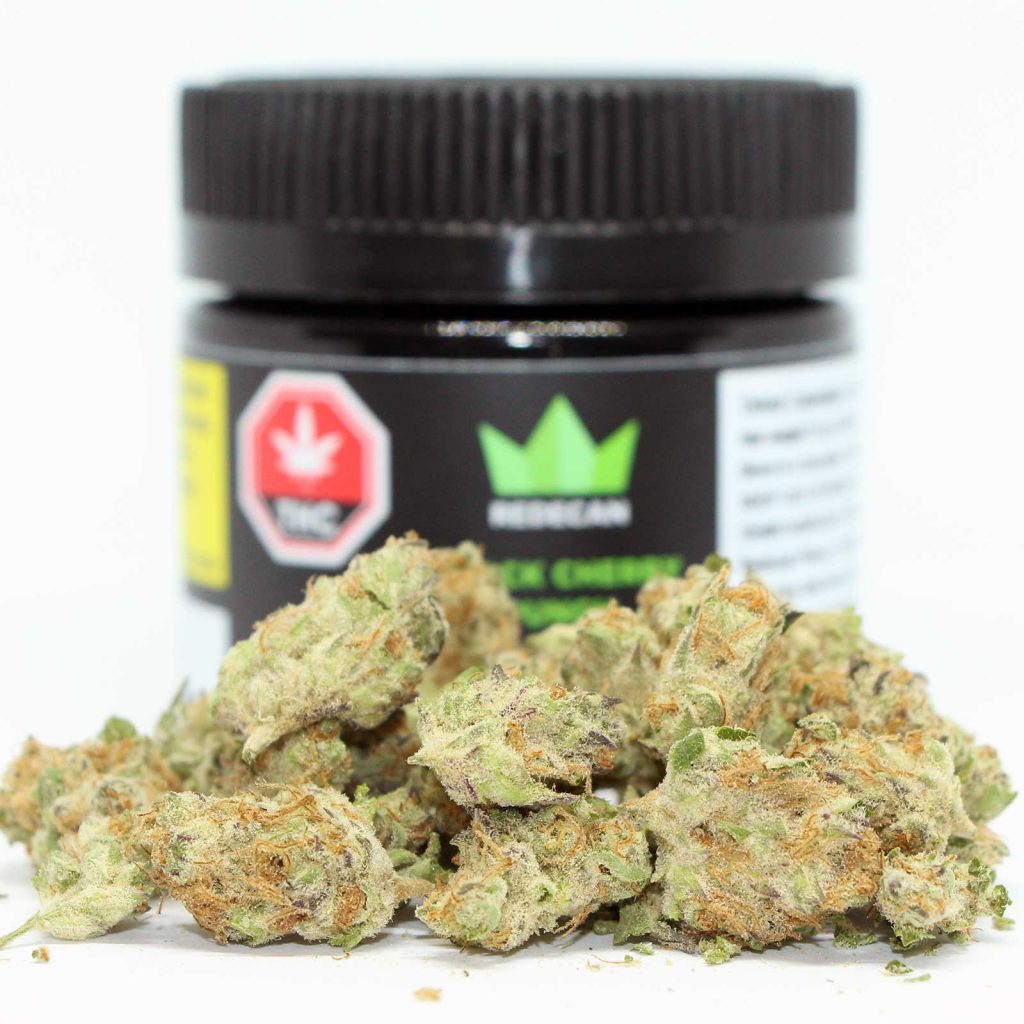 redecan black cherry punch review cannabis photos 3 cannibros
