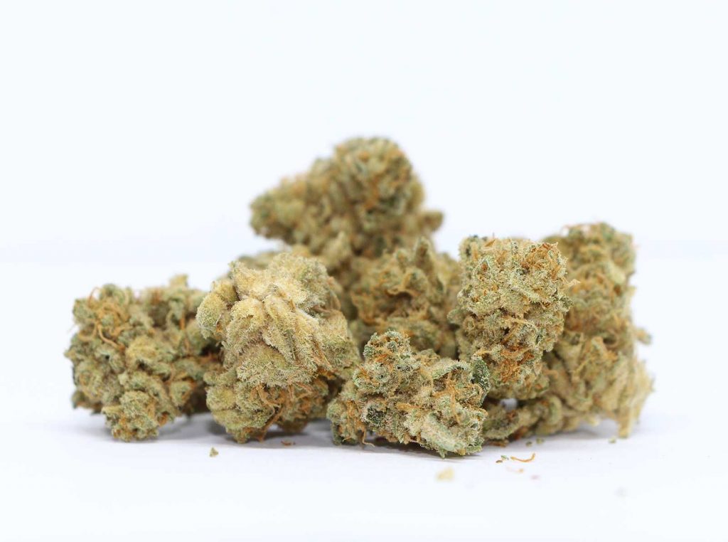 muskoka grown glueberry og review cannabis photos 3 cannibros