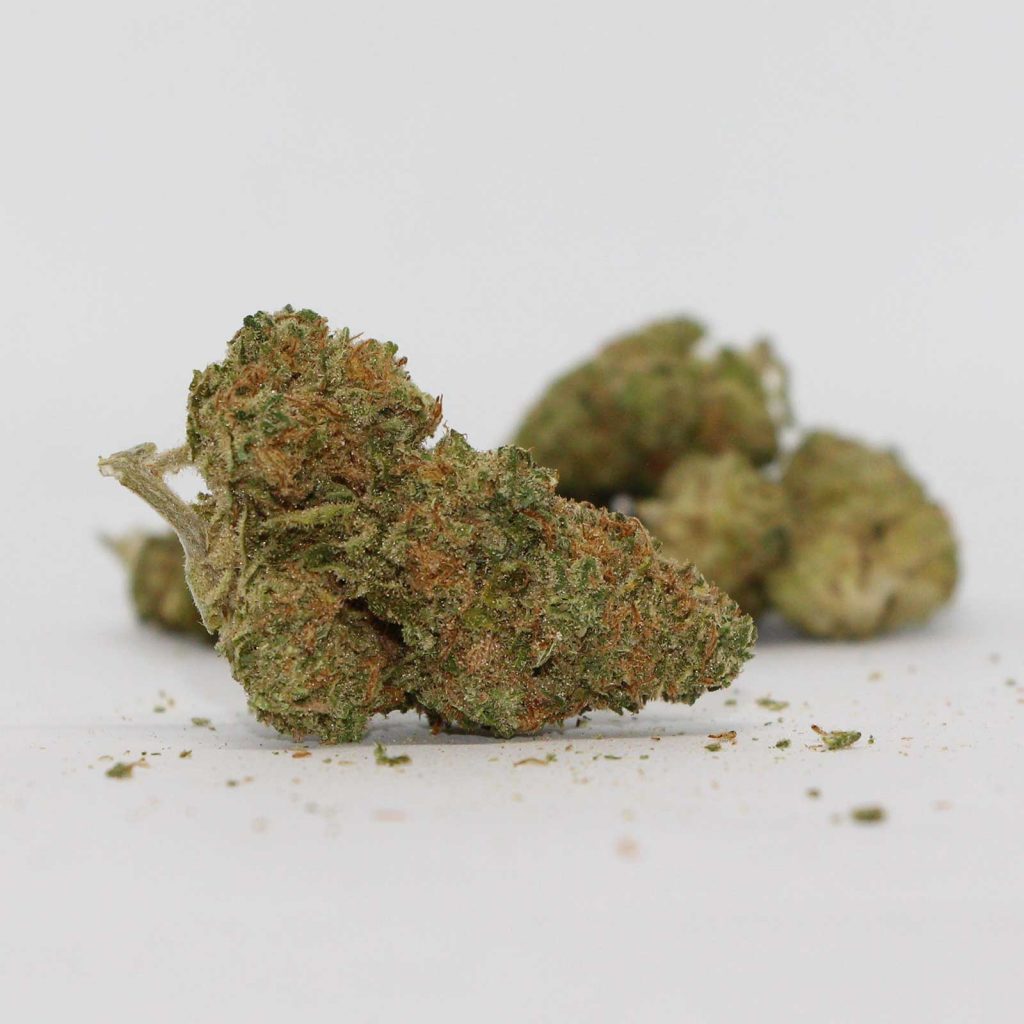 seleste purple aya review cannabis photos 4 cannibros