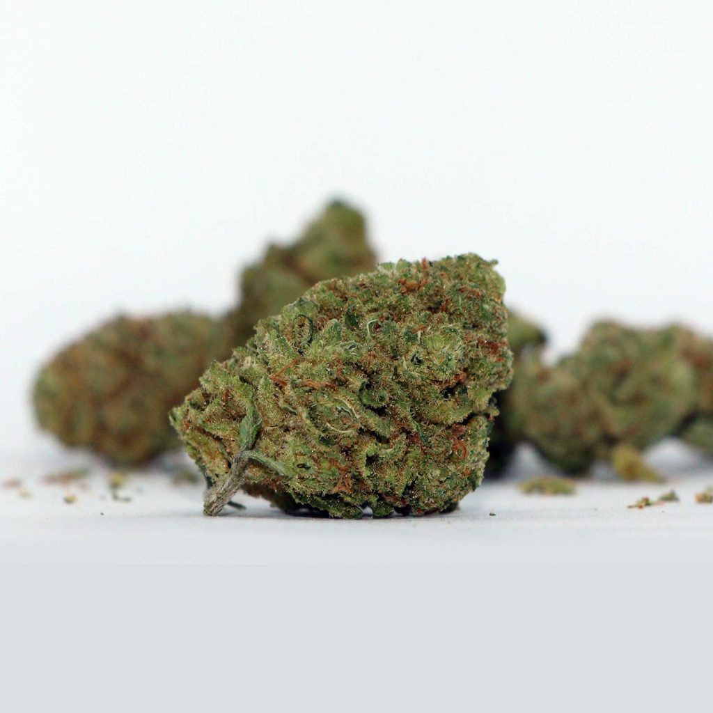 riff dt81 review cannabis photos 4 cannibros