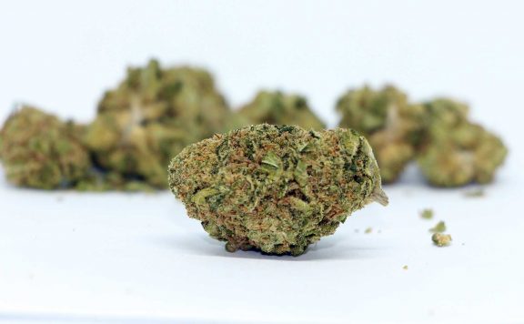 7acres papaya review cannabis photos cannibros