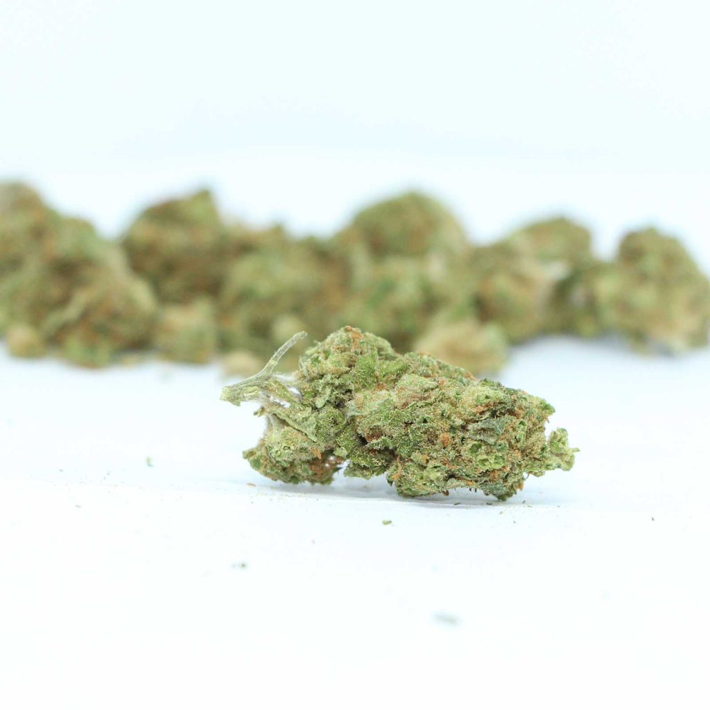 good supply sour kush review cannabis photos 4 cannibros