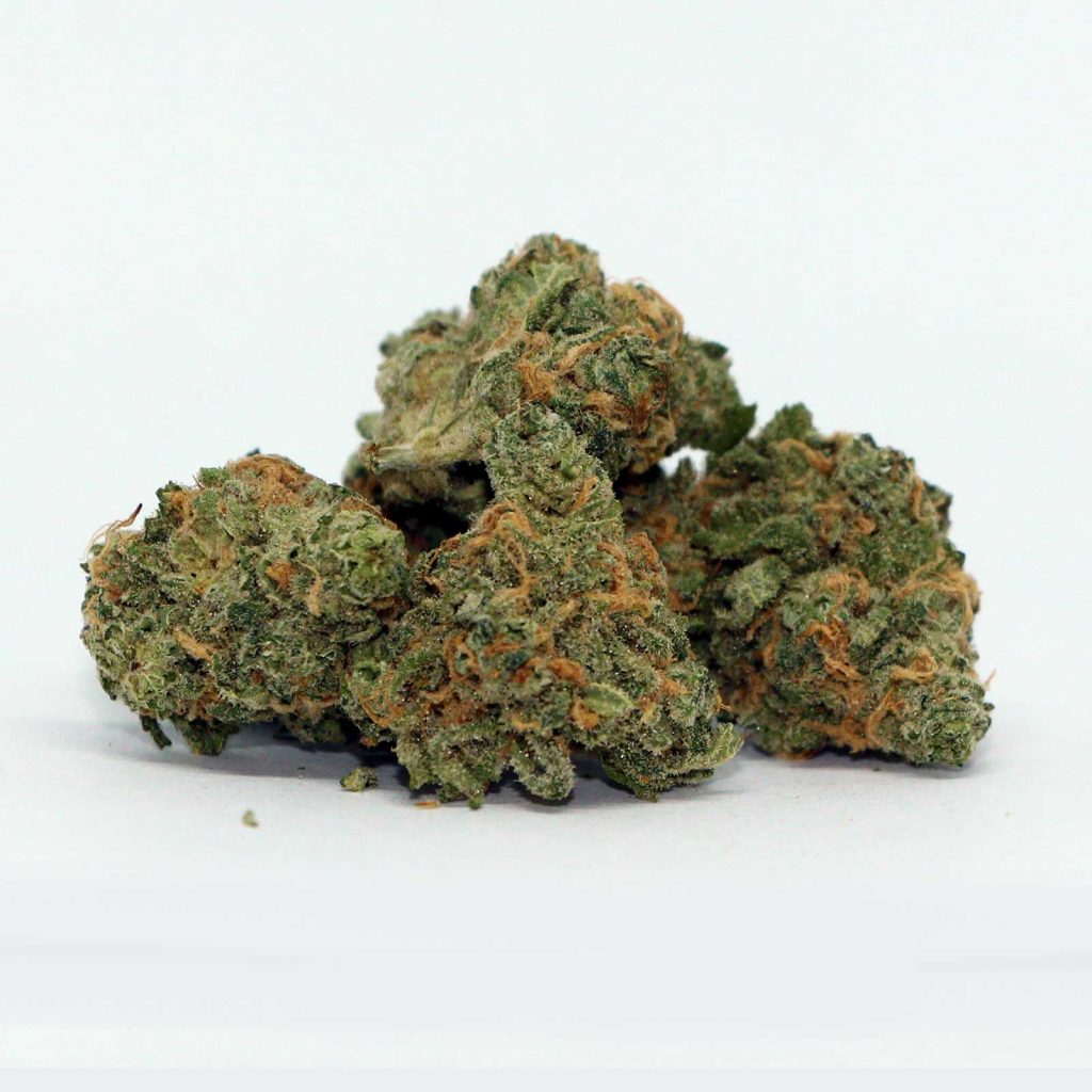 sundial blue nova review cannabis photos 3 cannibros
