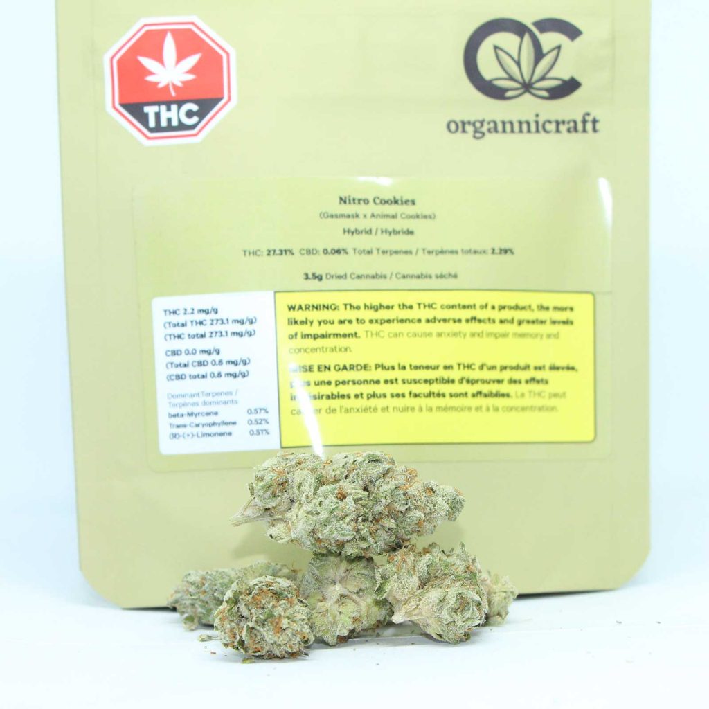 organnicraft nitro cookies review cannabis photos 2 cannibros