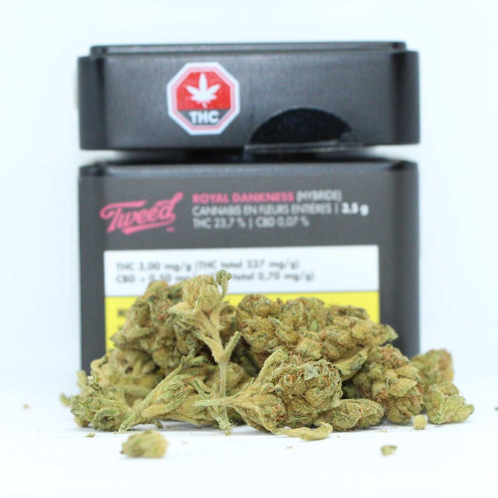 tweed royal dankness review cannabis photos 2 cannibros