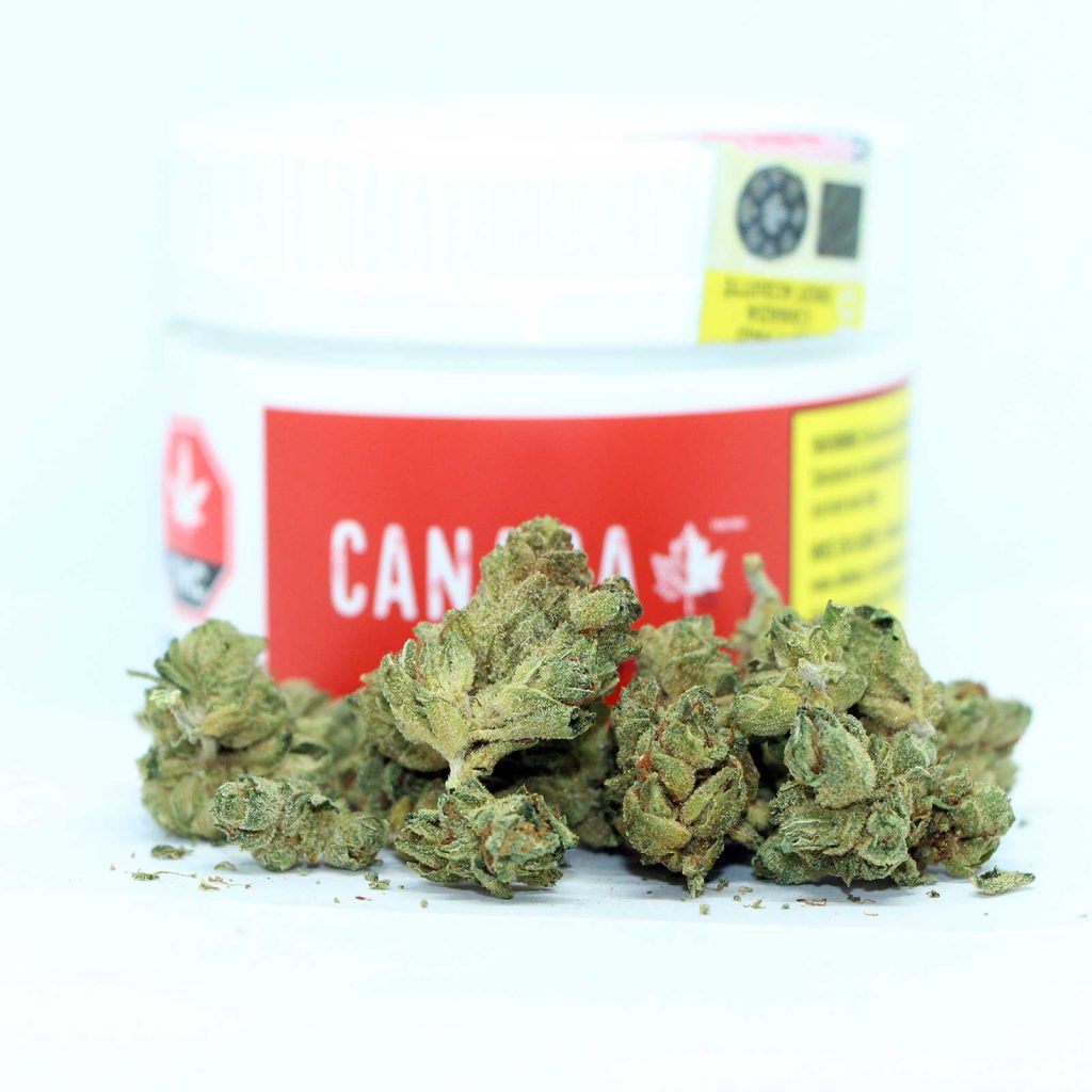 canaca alien dawg review cannabis photos 2 cannibros