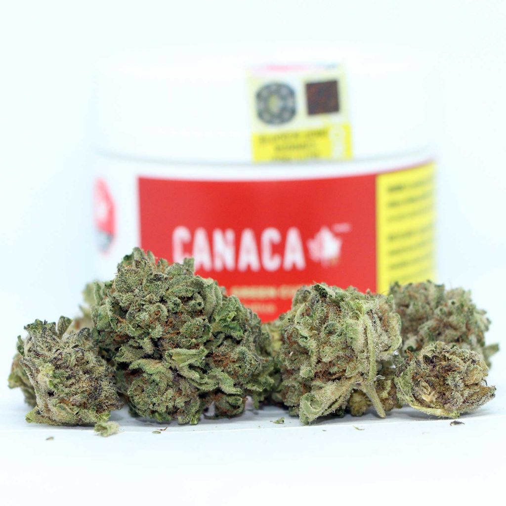 canaca green cush review cannabis photos 2 cannibros