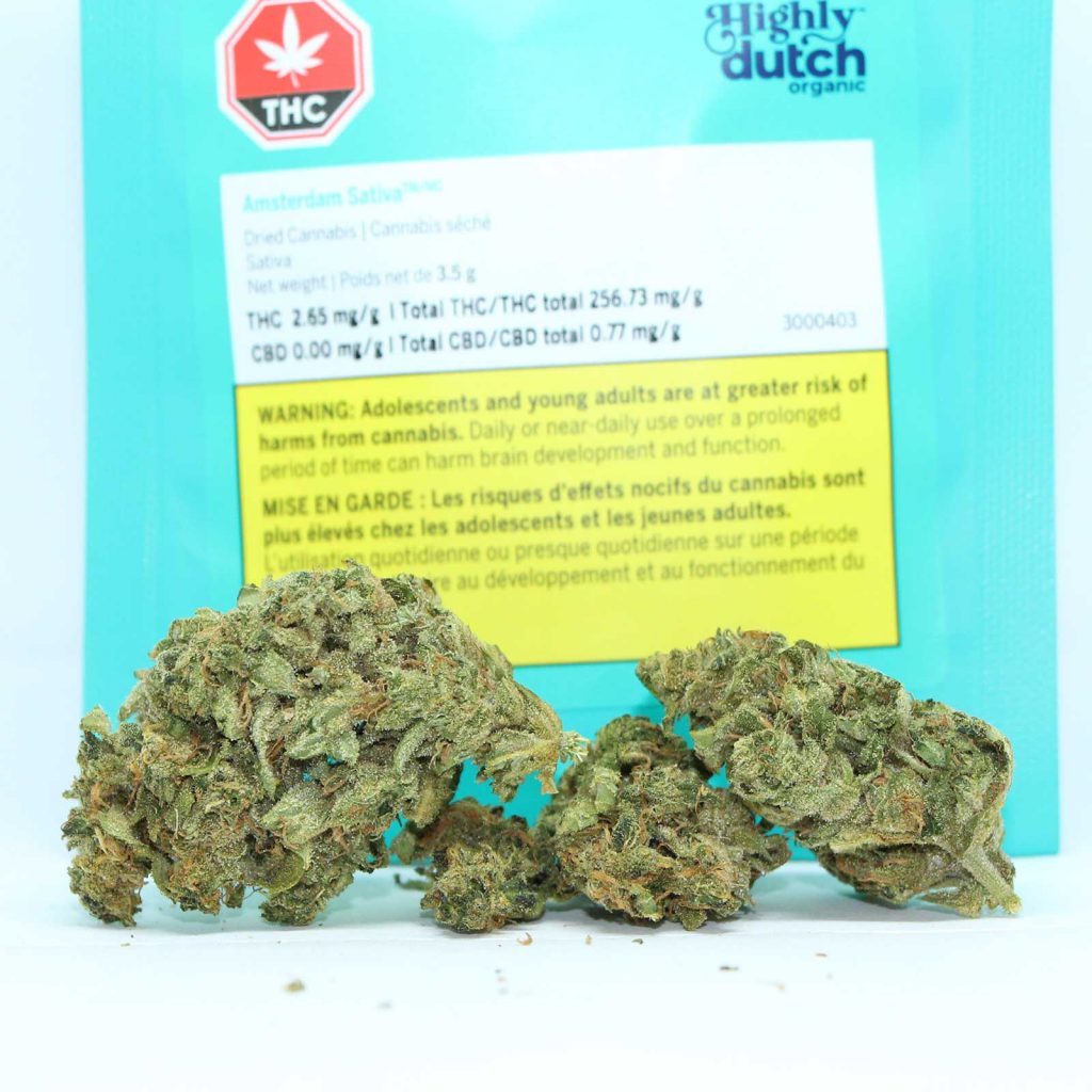 highly dutch organic amsterdam sativa review cannabis photos 2 cannibros
