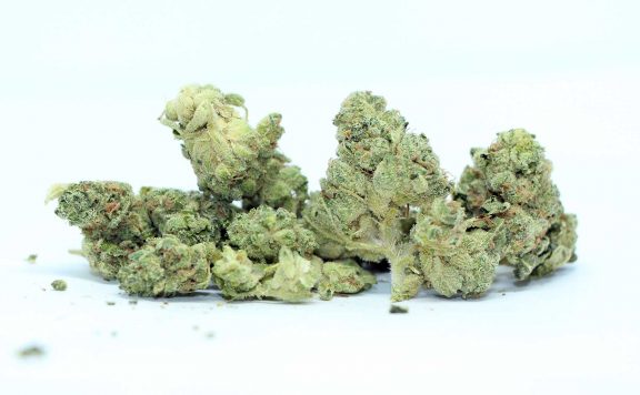 muskoka grown chem og review cannabis photos cannibros