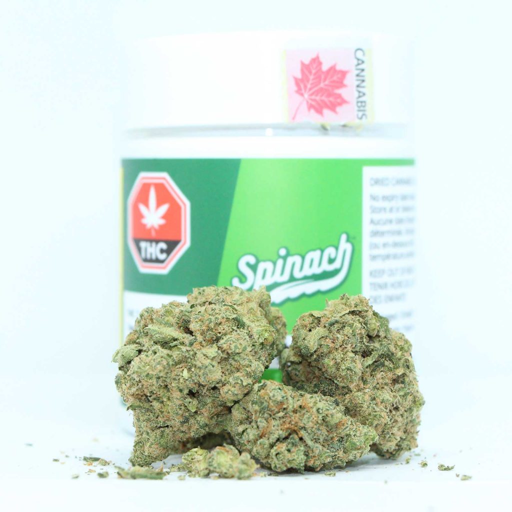 spinach pineapple paradise review cannabis photos 2 cannibros