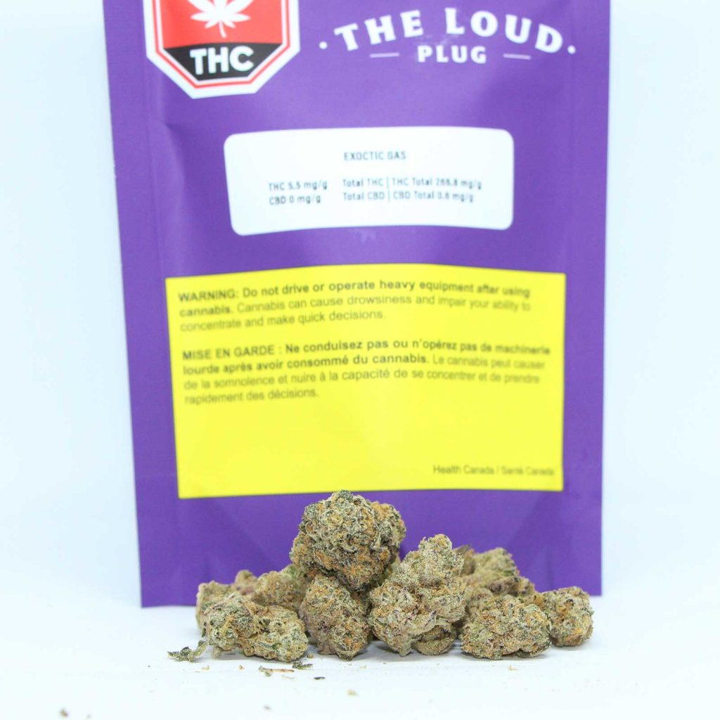 the loud plug exotic gas review cannabis photos 2 cannibros