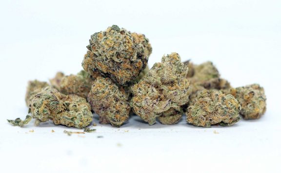 the loud plug exotic gas review cannabis photos cannibros
