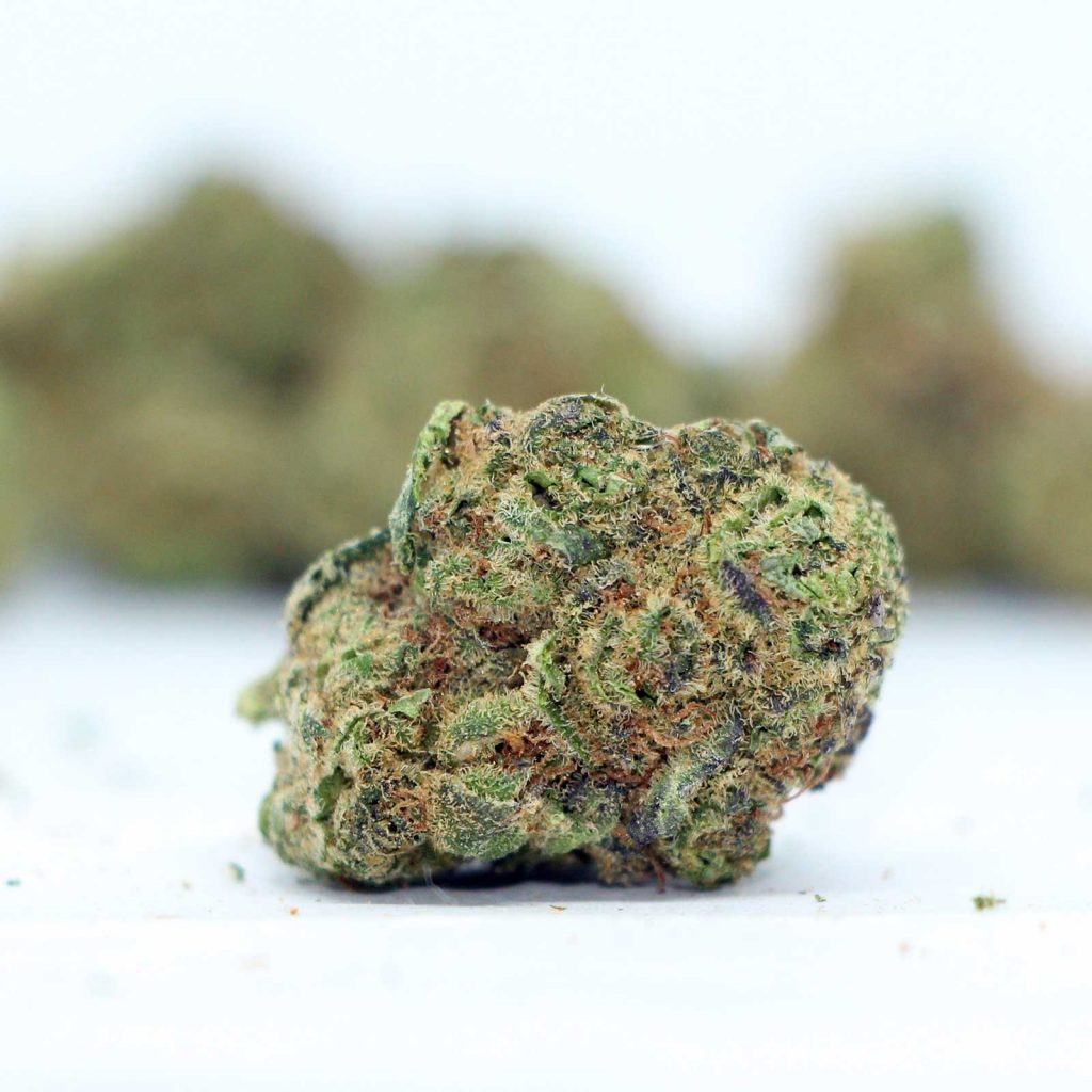 back forty fruity pebbles og review cannabis photos 4 cannibros