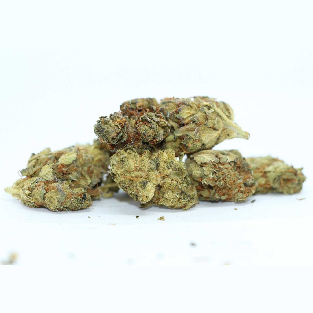 highly dutch organic rotterdam indica reivew cannabis photos 3 cannibros