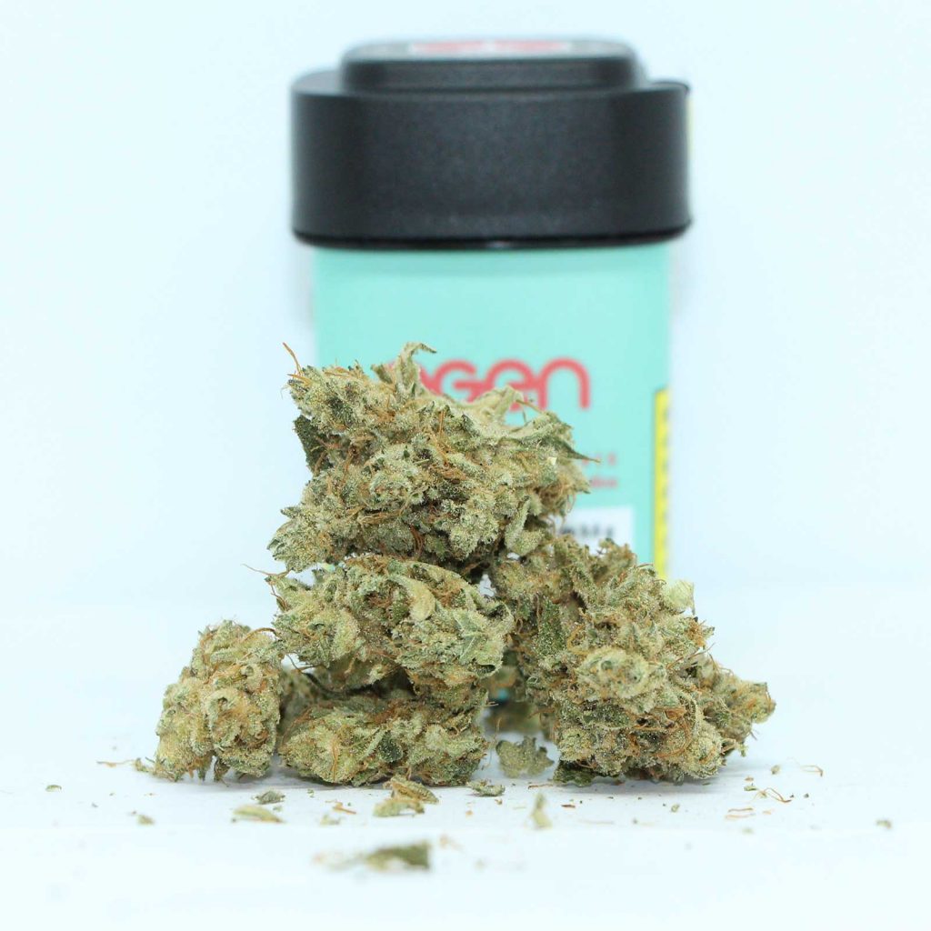 ogen early glue review cannabis photos 2 cannibros
