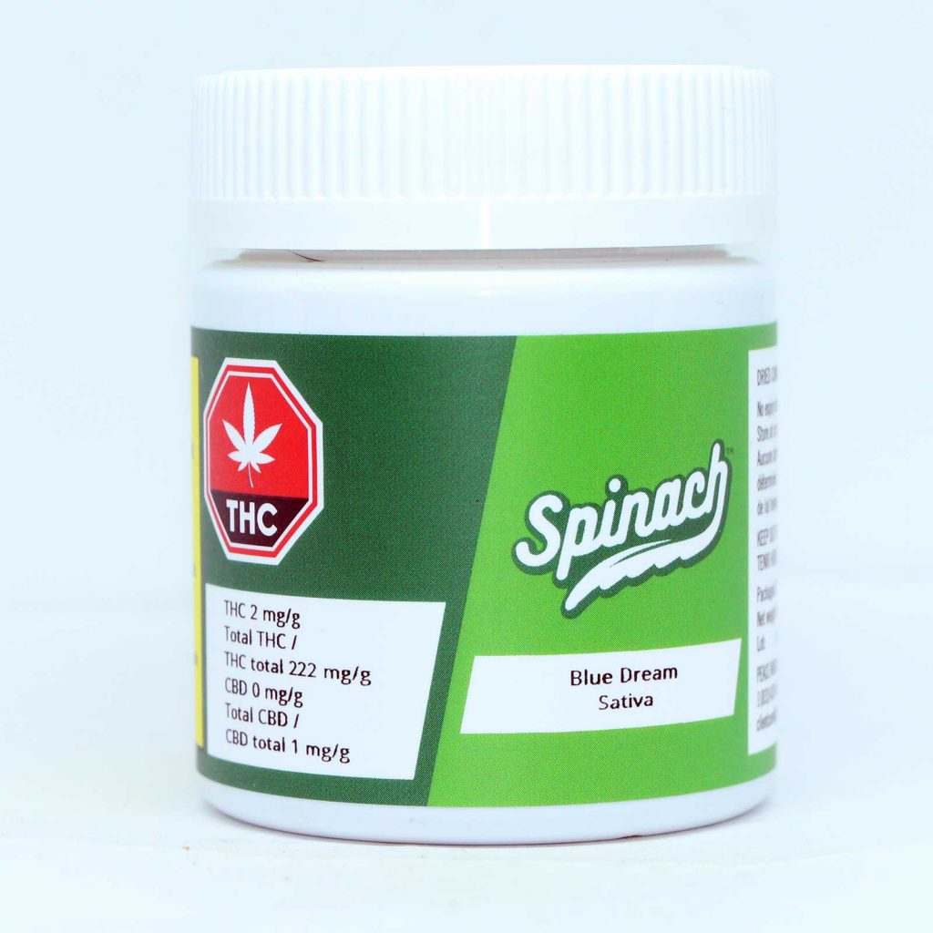 spinach blue dream review cannabis photos 1 cannibros