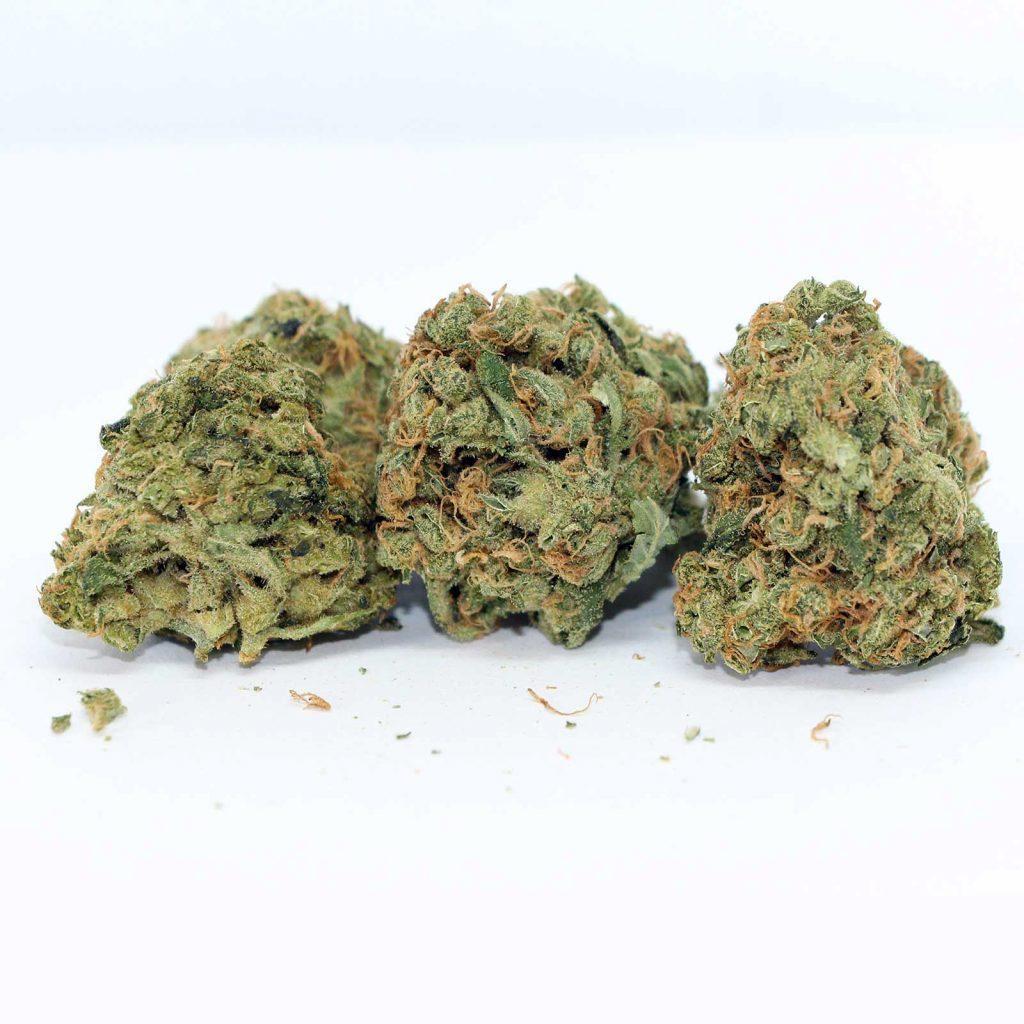 big bag o buds ultra sour review cannabis photos 3 cannibros
