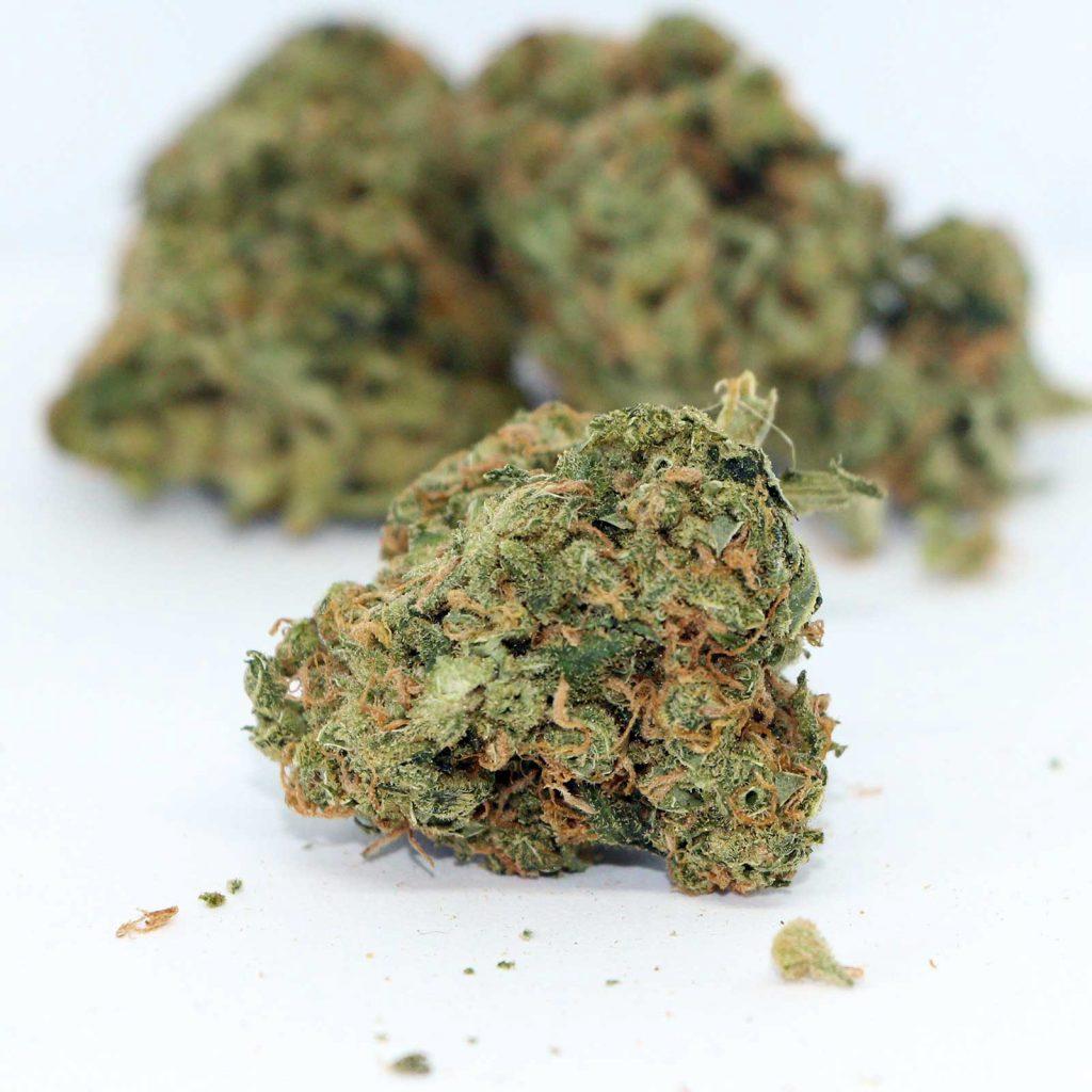 big bag o buds ultra sour review cannabis photos 4 cannibros