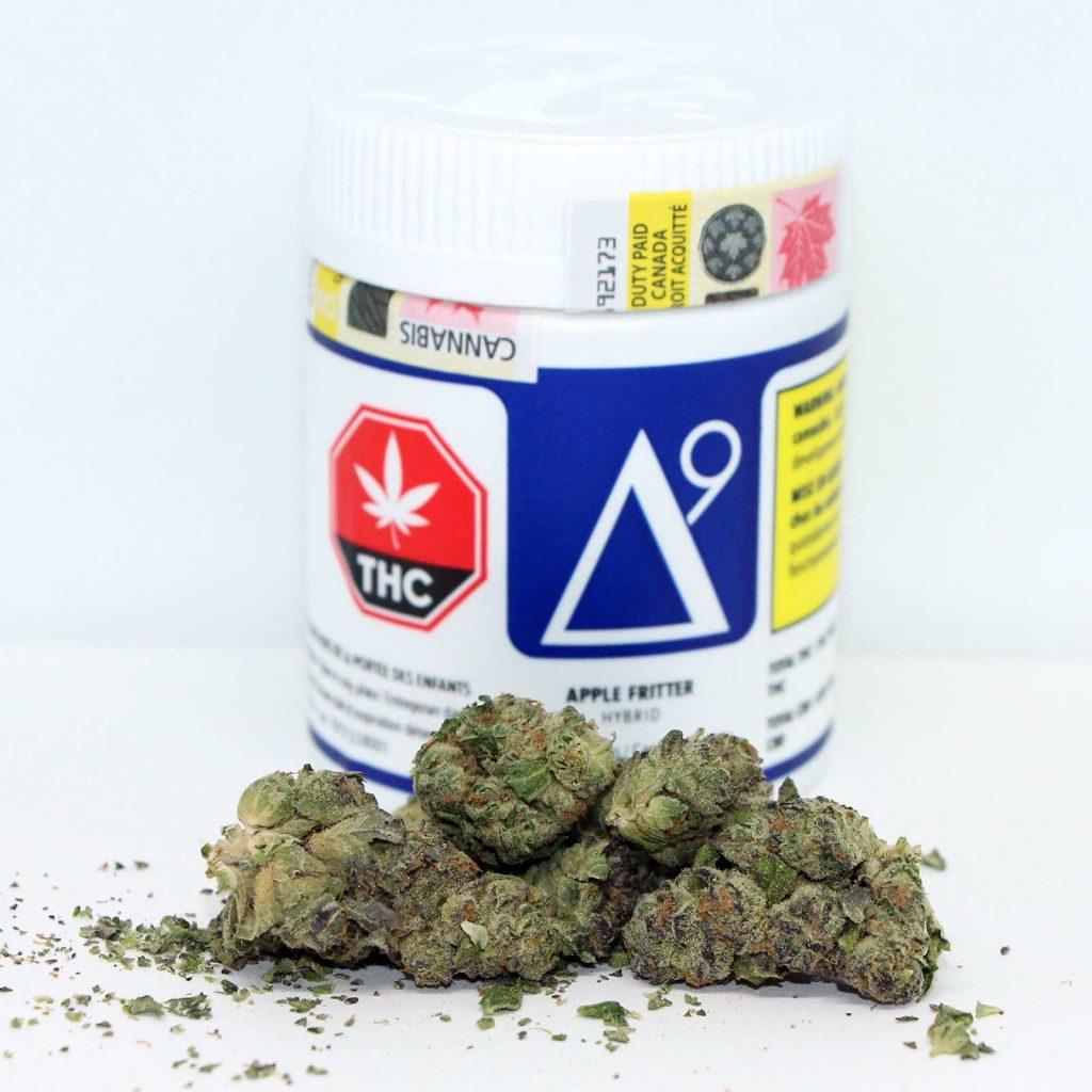 delta 9 apple fritter review cannabis photos 2 cannibros