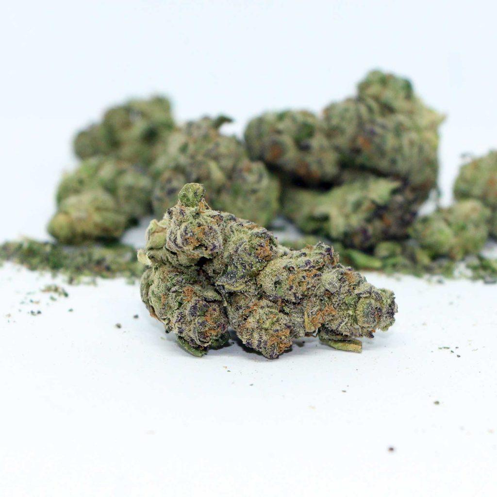 delta 9 apple fritter review cannabis photos 4 cannibros