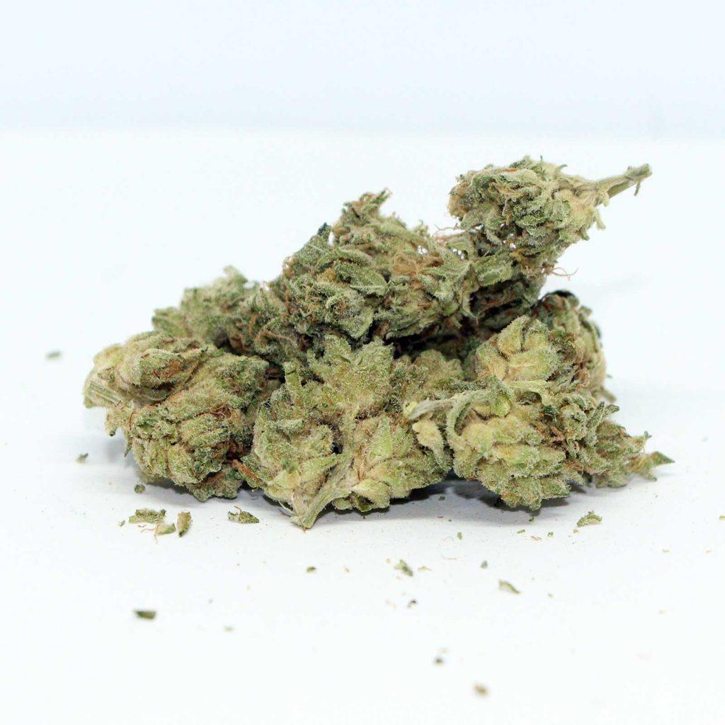 msiku nova glue review cannabis photos 3 cannibros