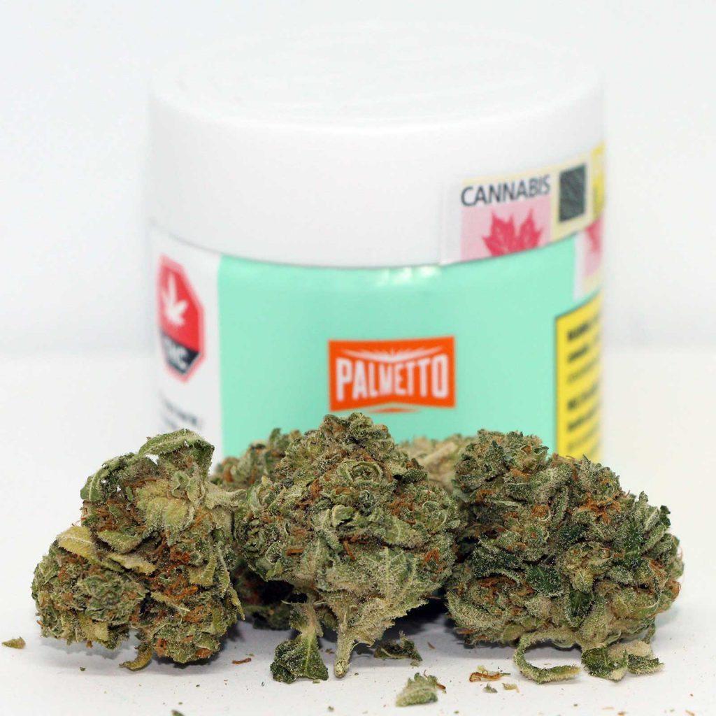 palmetto romulan review cannabis photos 2 cannibros