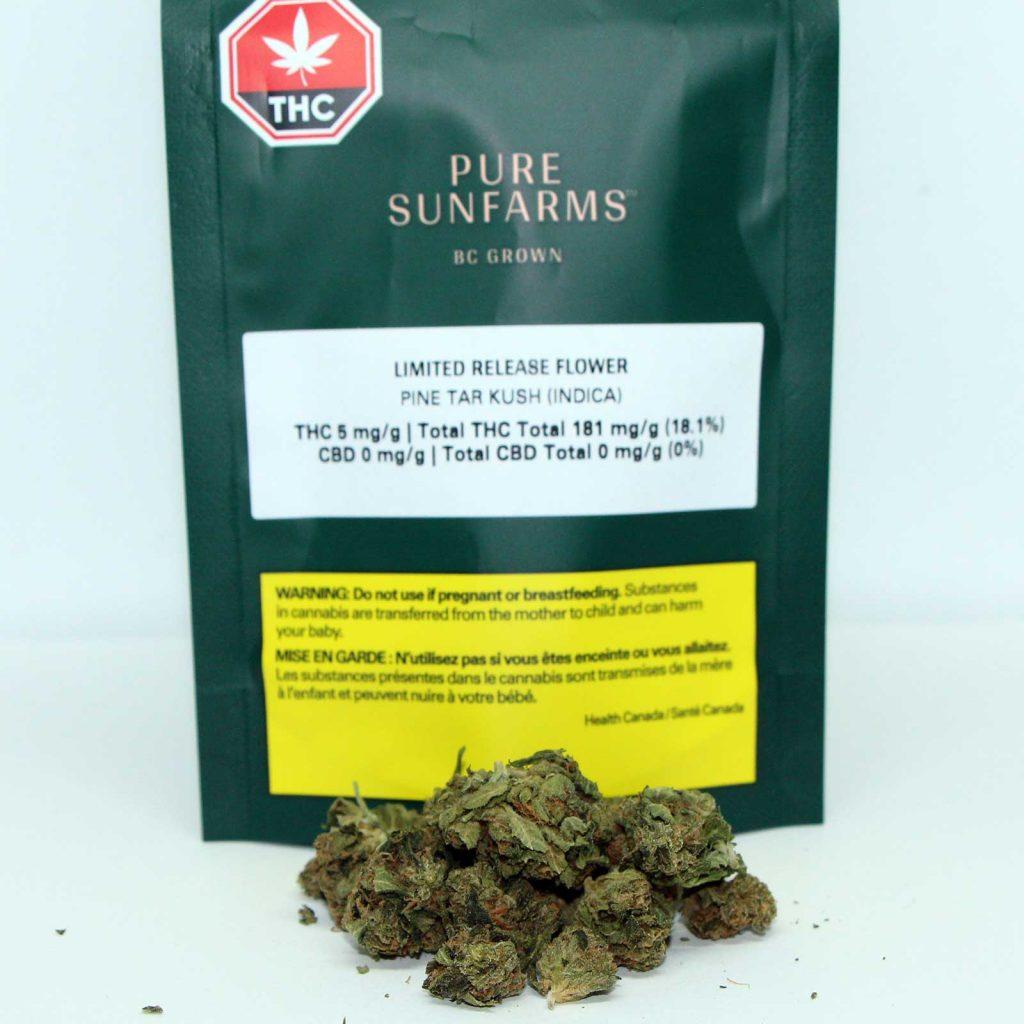 pure sunfarms pine tar kush review cannabis photos 2 cannibros