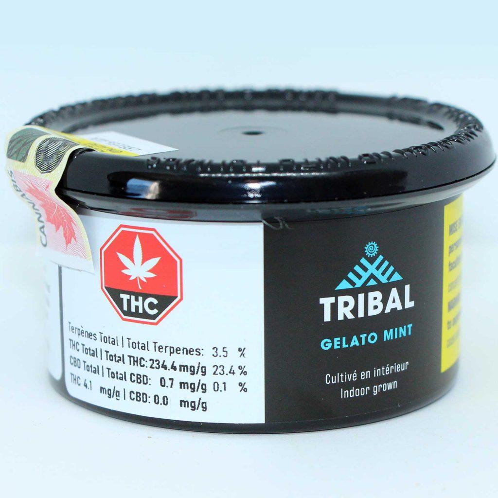 tribal gelato mint review cannabis photos 1 cannibros