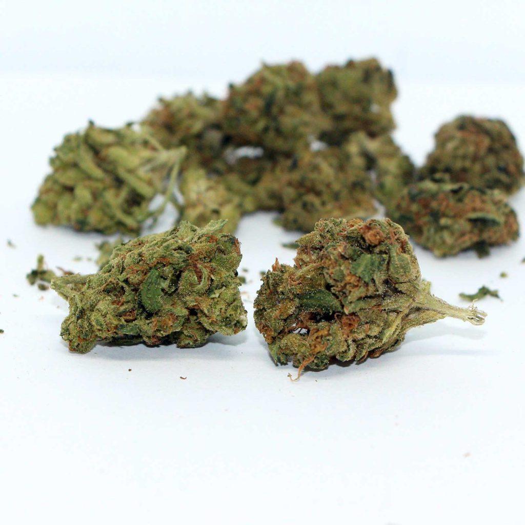twd himalyan kush review cannabis photos 4 cannibros