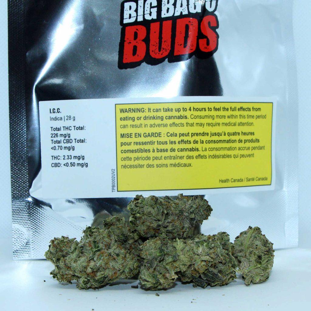 big bag o buds icc review cannabis photos 2 merryjade