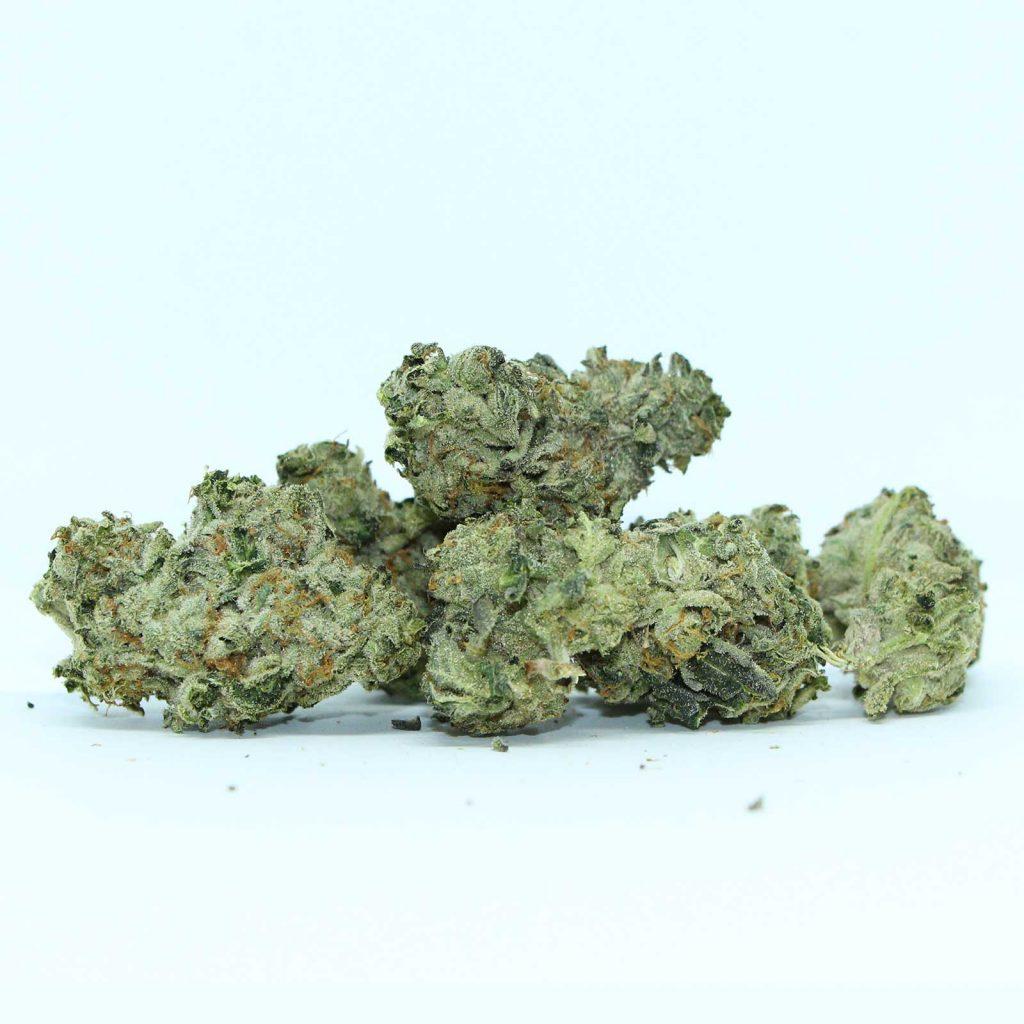 big bag o buds icc review cannabis photos 3 merryjade