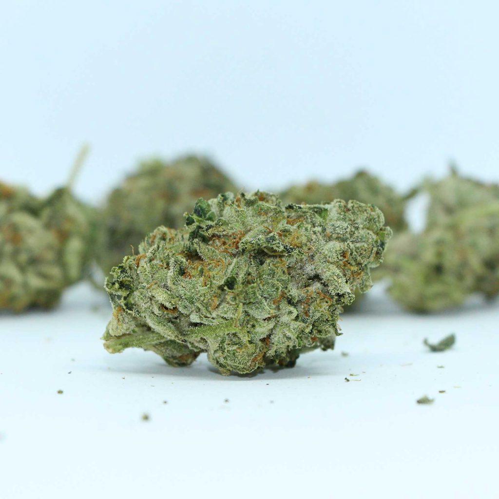 big bag o buds icc review cannabis photos 4 merryjade