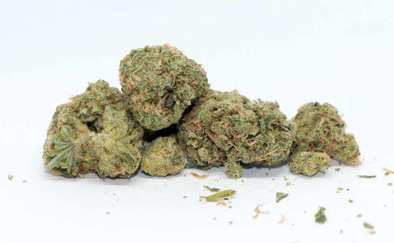 up ultra sour review up20 cannabis photos 5 merryjade