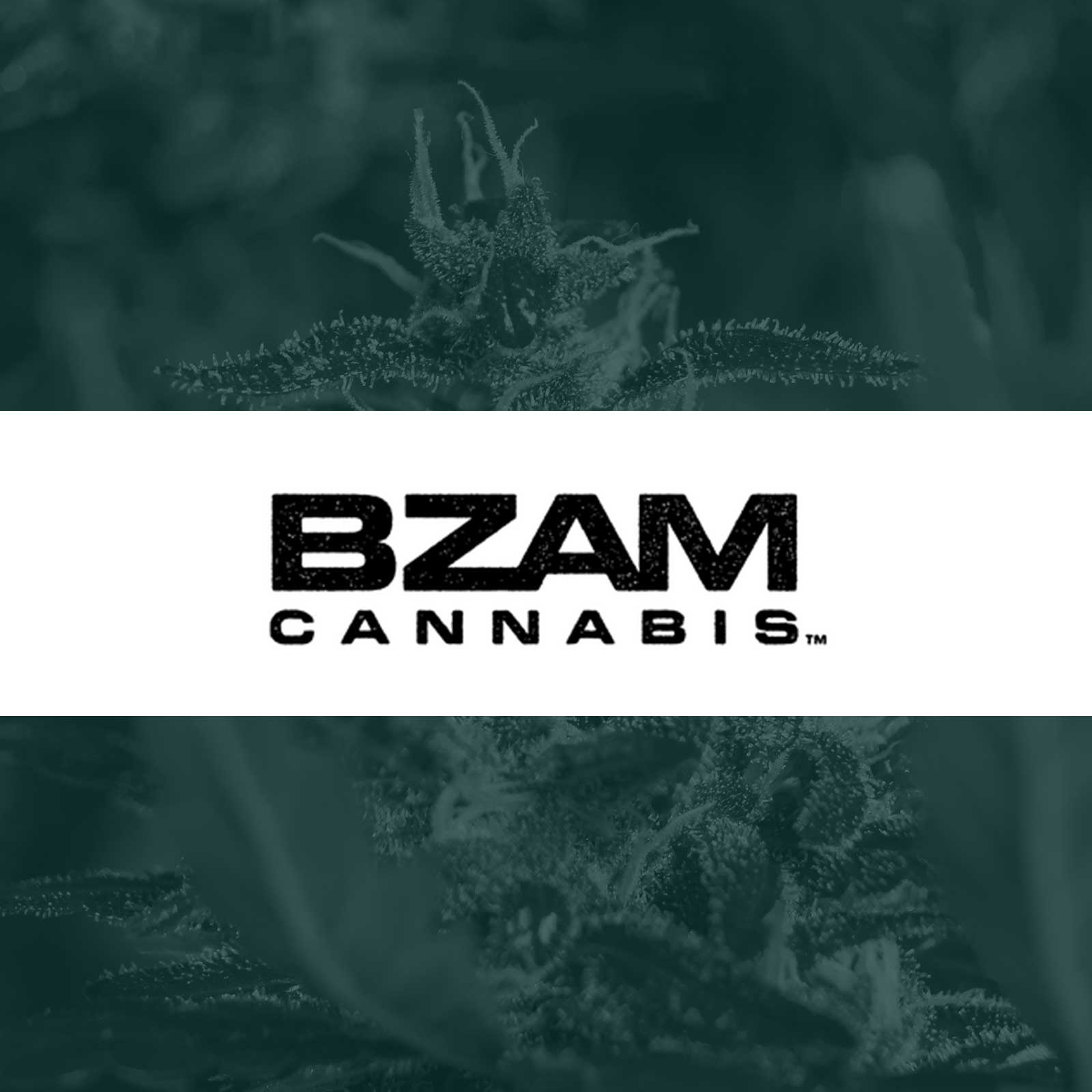 BZAM Cannabis