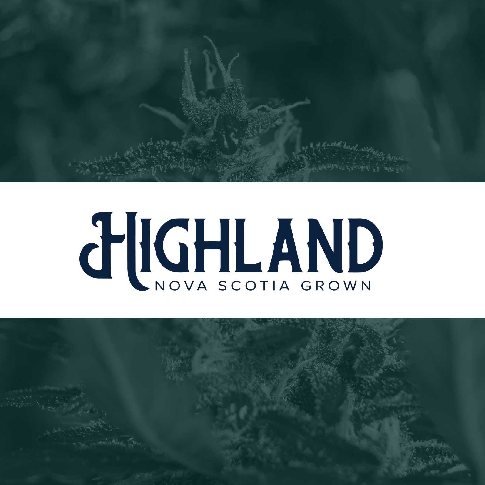 Highland Grow