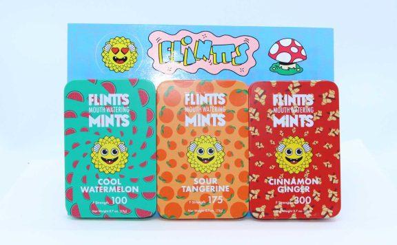 flints mouth watering mints review photos 4 merry jade