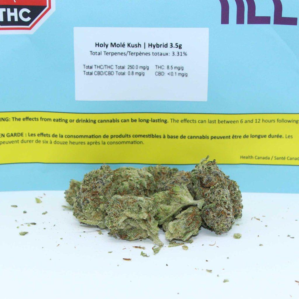 melt holy mole kush review cannabis photos 2 merry jade