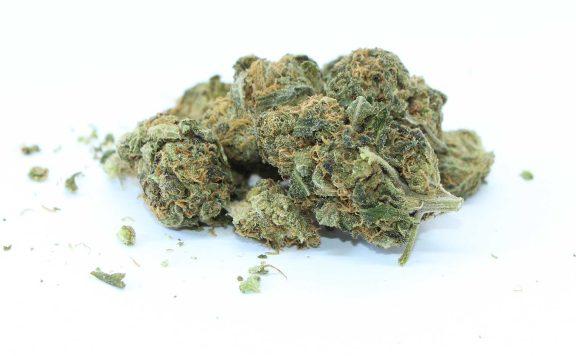 smoke that thunders dragons lettuce premium sativa cannabis photos 5 merry jade