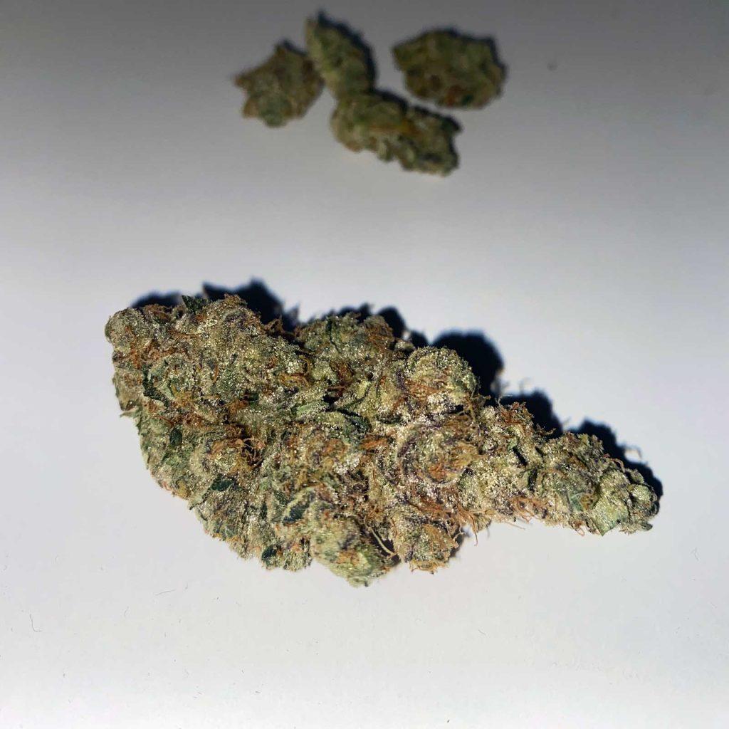 sugarbud gmo cookies review cannabis photos 3 merry jade