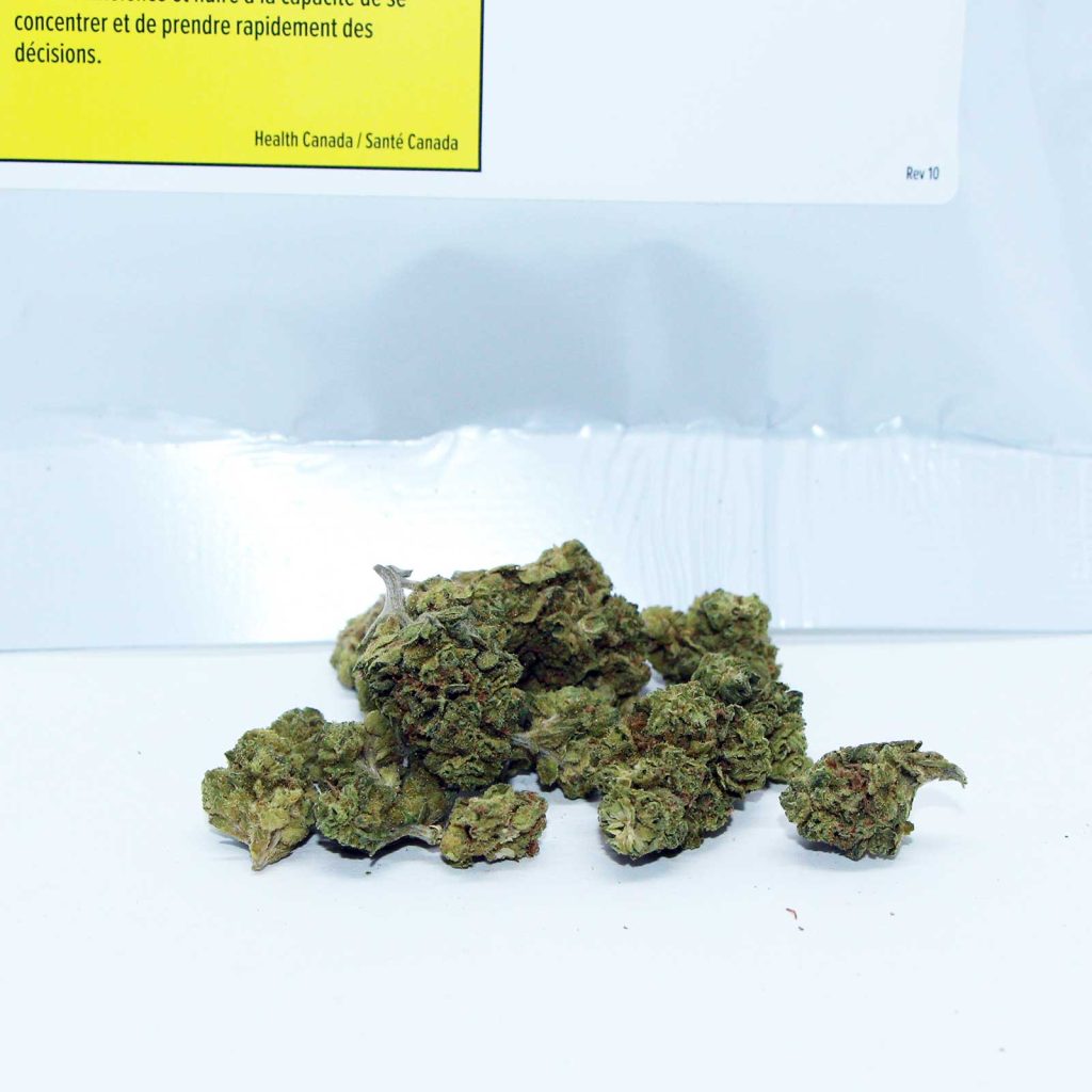 bingo sativa review cannabis photos 2 merry jade