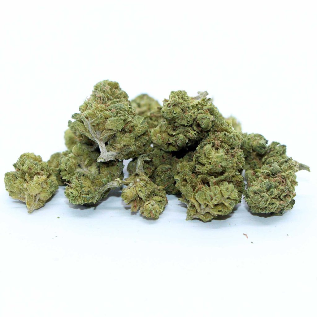 bingo sativa review cannabis photos 3 merry jade
